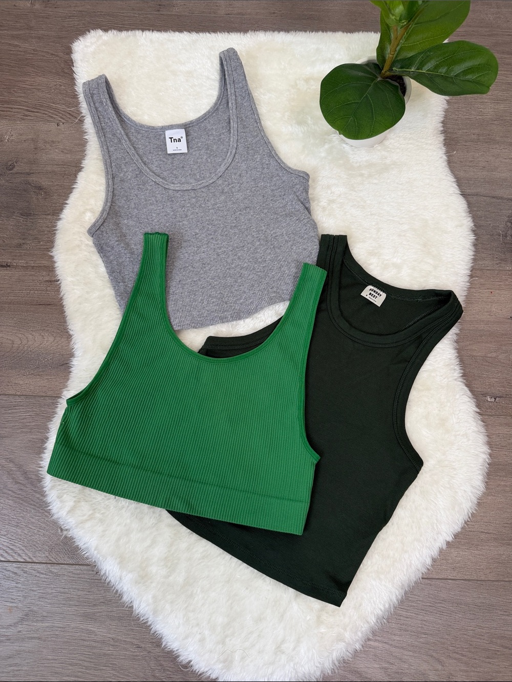 Aritzia Trio: Green, Black & Gray Ribbed Tank Tops